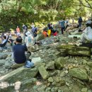 계곡여행 이미지