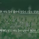 박해목장 이미지