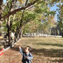 설하관광농원 | 인제 캠핑장 설하관광농원 / 5살 아이와 2박 3일 캠핑