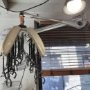 까까머리방 이미지