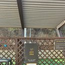 강아지 테마파크 이미지