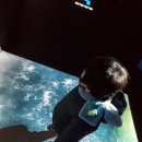 오무기사식당 이미지