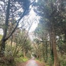 포도원흑돼지 이미지