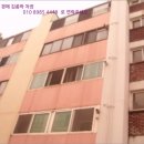 사파동407 이미지