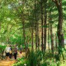 이문1제방 이미지