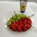 방배브런치 푸슈, 춘천여행 통나무집닭갈비 엘리시아 강촌 패밀리룸
