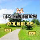 파주애견미용센터 | 파주애견미용학원 (알아본 후기, 비용) 추천