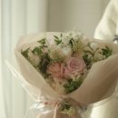 보뜨(BOTTE) 이미지