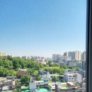 H9. 신혼집 미세촘촘방충망 교체 후기/제이디자인(부산청년들)