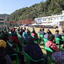 양양읍민 한마당 큰잔치 이미지