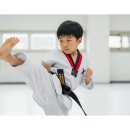 이든 태권도장 이미지