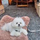 포천 담터금학캠핑장 추천 장단점 솔직 후기