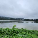 입장 포도길 이미지