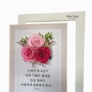 성구농원 이미지
