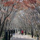 대구하나세계일주