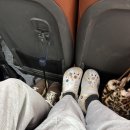 정읍 풀코스
