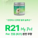 시니어펫 이미지