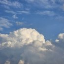 황방산 맨발걷기 이미지