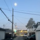 어떤 날들의 기록 52/ Vancouver+8