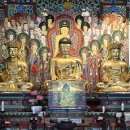 구미 금강사 석조 석가여래 좌상 龜尾 金剛寺 石造 釋迦如來 坐像 이미지