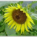 파랑새민박 이미지