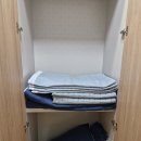 백운장뇌삼관광농원 | 원주캠핑 자연 속에서 찾은 나만의 휴식처, 원주 포레스트 돔 후기