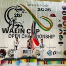 Results-the Waein Cup Open Championship in Singapore. 이미지