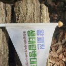 왕피천유역 생태탐방로(1코스) 이미지