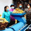 대오농장 이미지