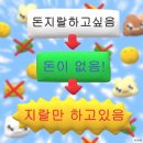 신명툴 | 분명히 두 달 다이어트 할 수 있었는데 (부제 : 언젠간 프렌젤이 내 발목을 잡으리)