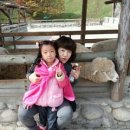 나영목장 이미지