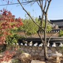 게스트 하우스 소나무 이미지