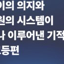 도안커넥트영어