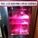 김가네참숯구이