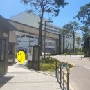 디오션시티 철길공원 앞 사거리 이미지