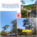 숲이랑아이랑유치원 이미지