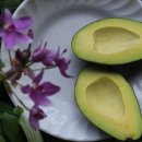 아보카도 이미지