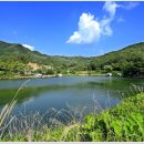 그린낚시터 이미지