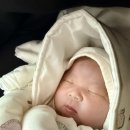 르베르쏘 산후조리원 이미지