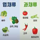 오투팜