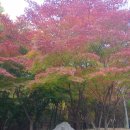 충숙근린공원 이미지