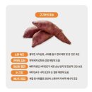 소.화식당 | 강아지화식 알러지 적은 수제간식점 &lt;나무까까&gt; 배송 급여 후기