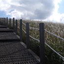 우크&기타 이미지