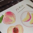 샤브작맘의설레임작업실 | [잠실 성인미술] 그림으로 즐기는 몰입의 시간 '카우치 드로잉 클럽'🎨