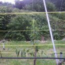 천연농장 이미지