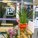 포도나무약국 이미지