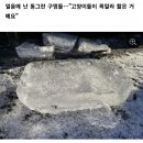 길고양이들이 목이 너무 말라 핥아서 구멍 난 얼음..jpg 이미지