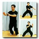 진식태극권대한민국총회