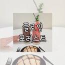 플로잉포레스트