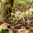 종지농장 이미지